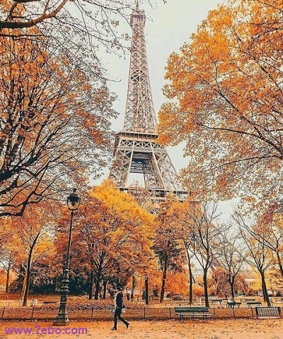 عكس هاي قديمي و ديدني پاريس France,Paris,photo