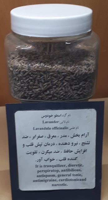 خواص اسطوخودوس