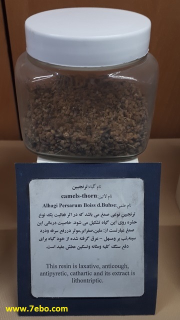 خواص درمانی ترنجبین