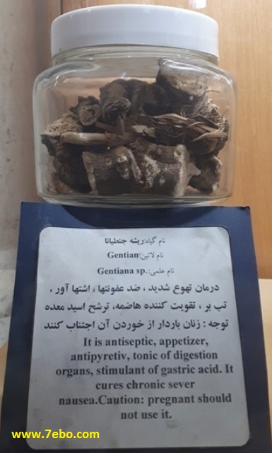 خواص درمانی جنطیانا 