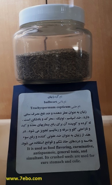 خواص درمانی زنیان