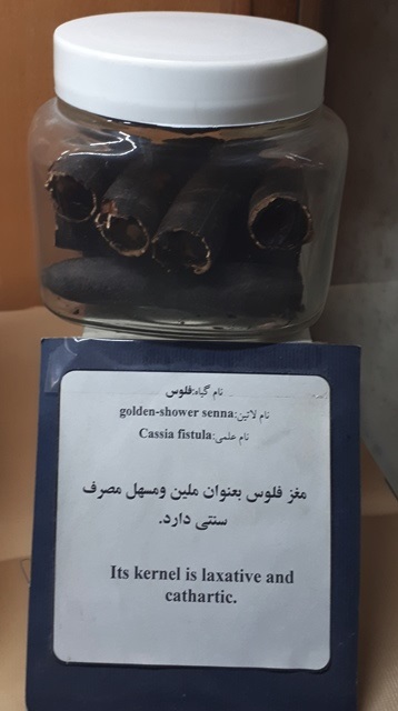 خواص درمانی فلوس