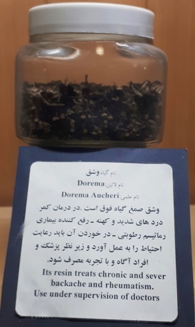 خواص درمانی وشق