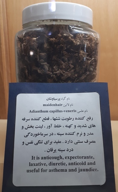 خواص درمانی پرسیاوشان