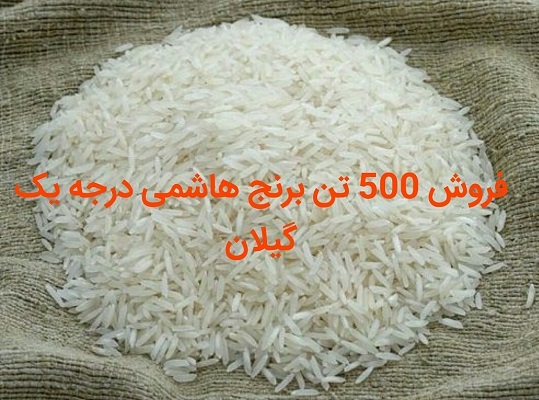 برنج هاشمی گیلان