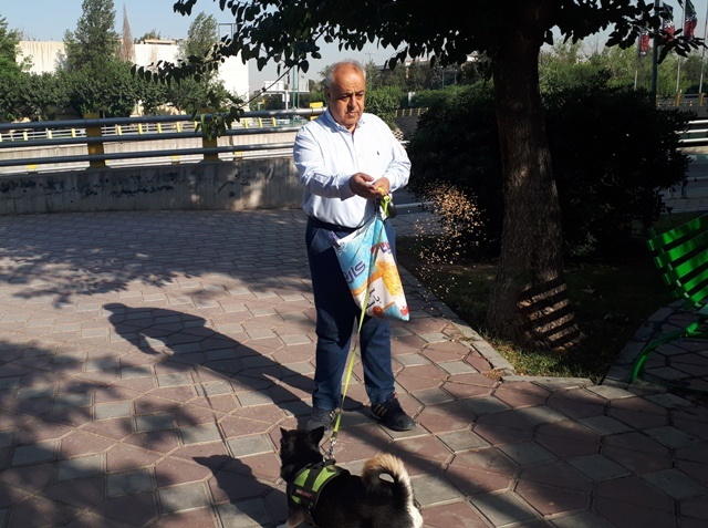 آقای حسینی در حال پخش گندم تهران