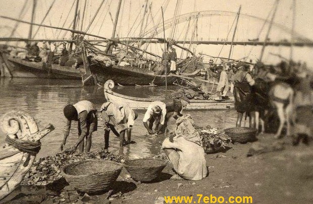 ماهیگیری کنار پل سفید