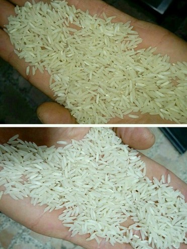 فروش برنج طارم به صورت عمده